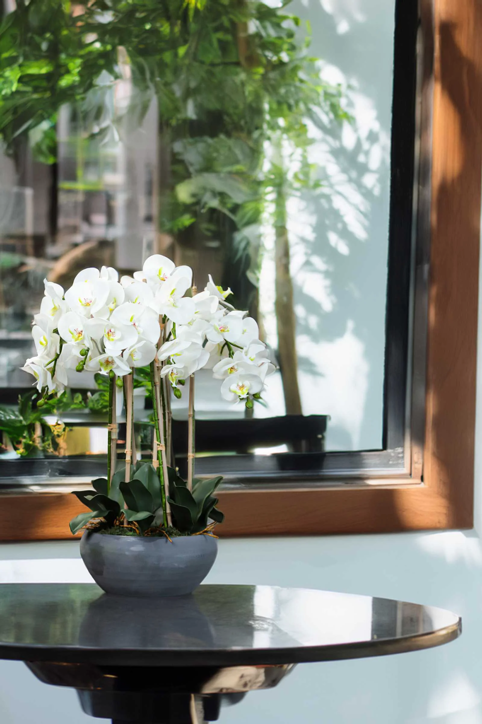Artificial Phalaenopsis Orchid - China Factory