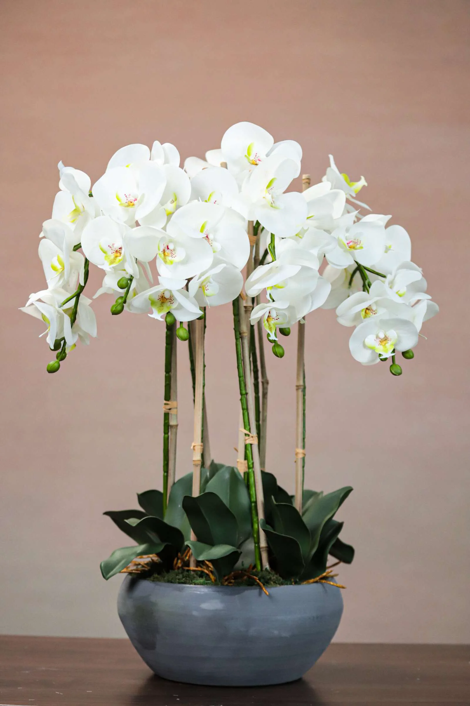 Artificial Phalaenopsis Orchid Flower - China Manufacturer