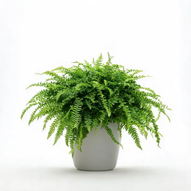 Artificial plants and greenery collection