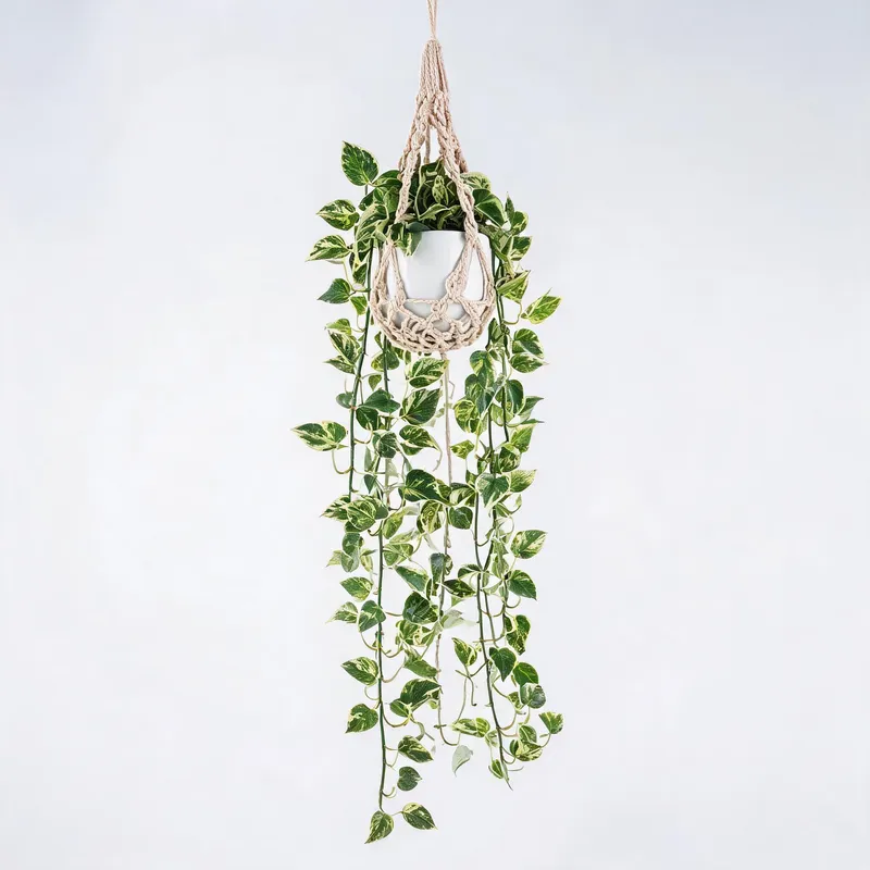 Hanging and trailing artificial plants - pothos, ivy, string of pearls
