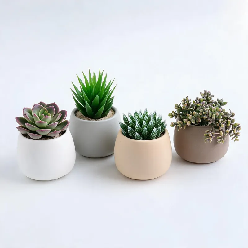 Faux succulents collection - echeveria, aloe, haworthia