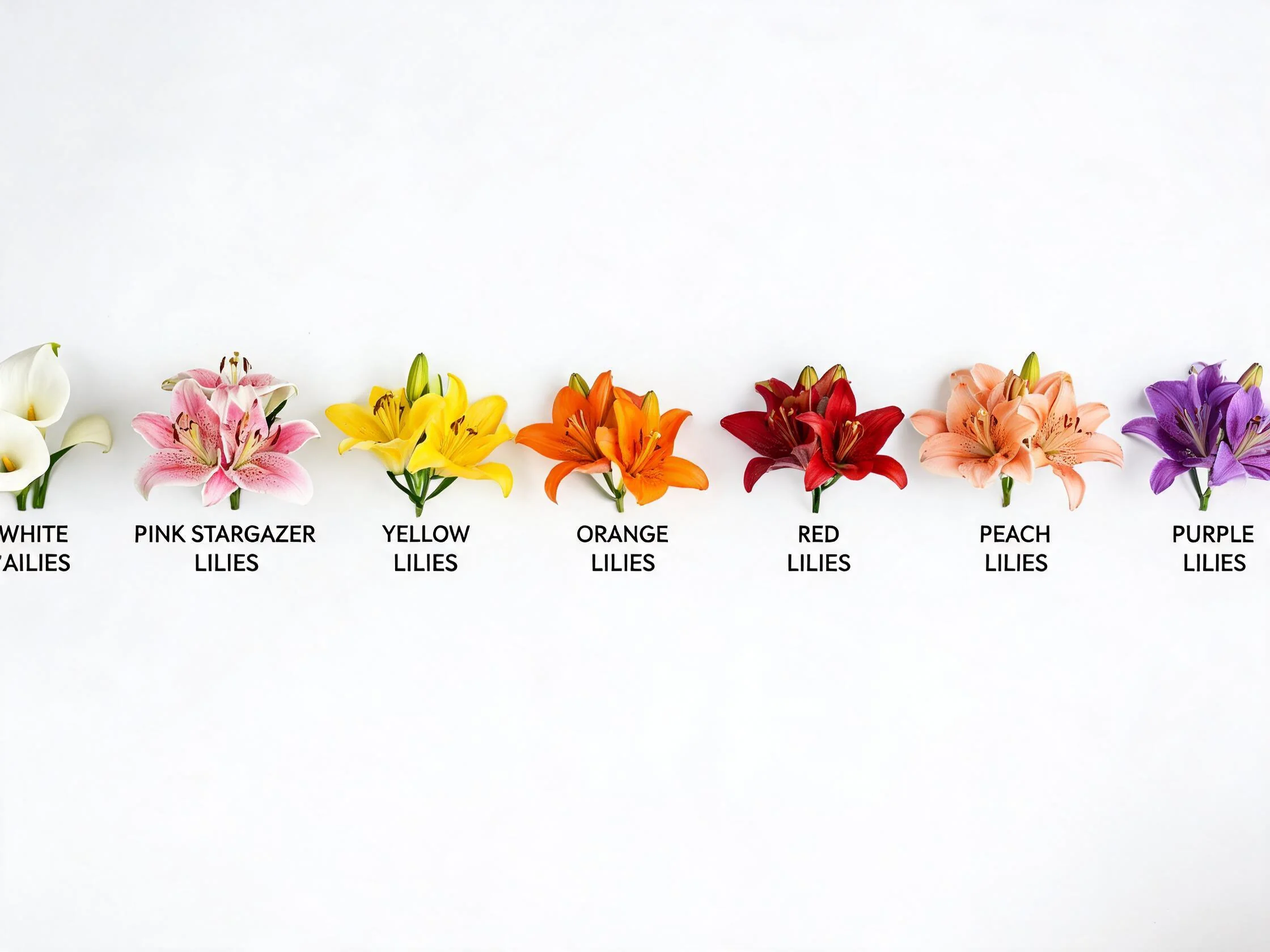 Artificial lily color varieties