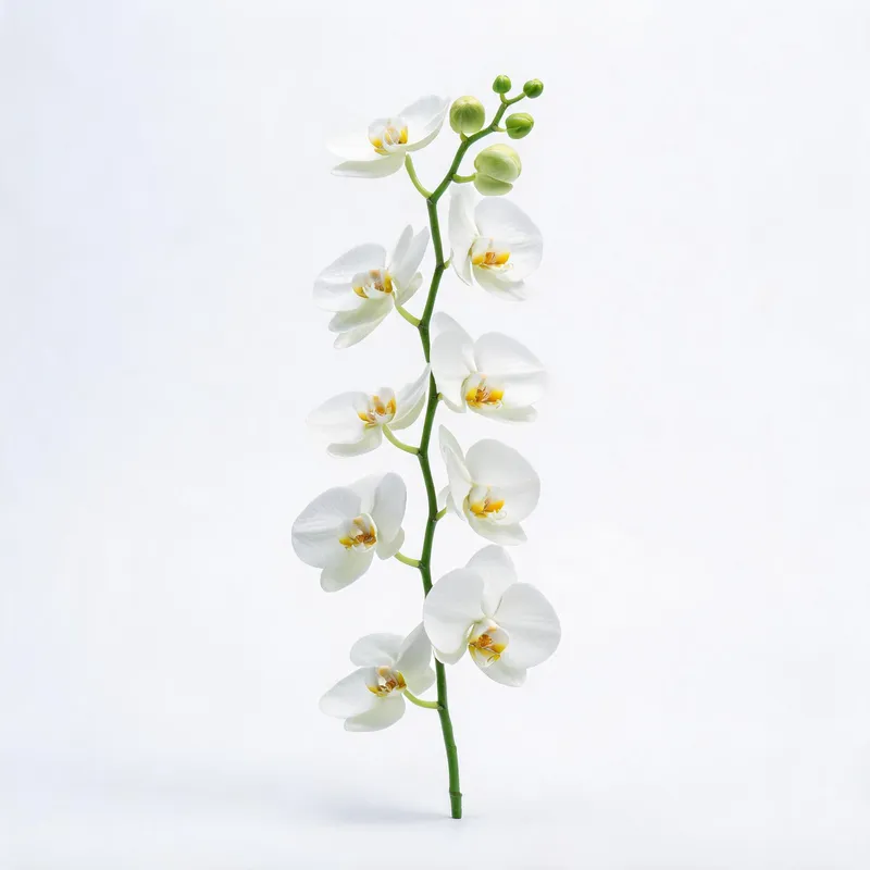 Single artificial white phalaenopsis orchid spray